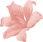 Respa Flower JC
